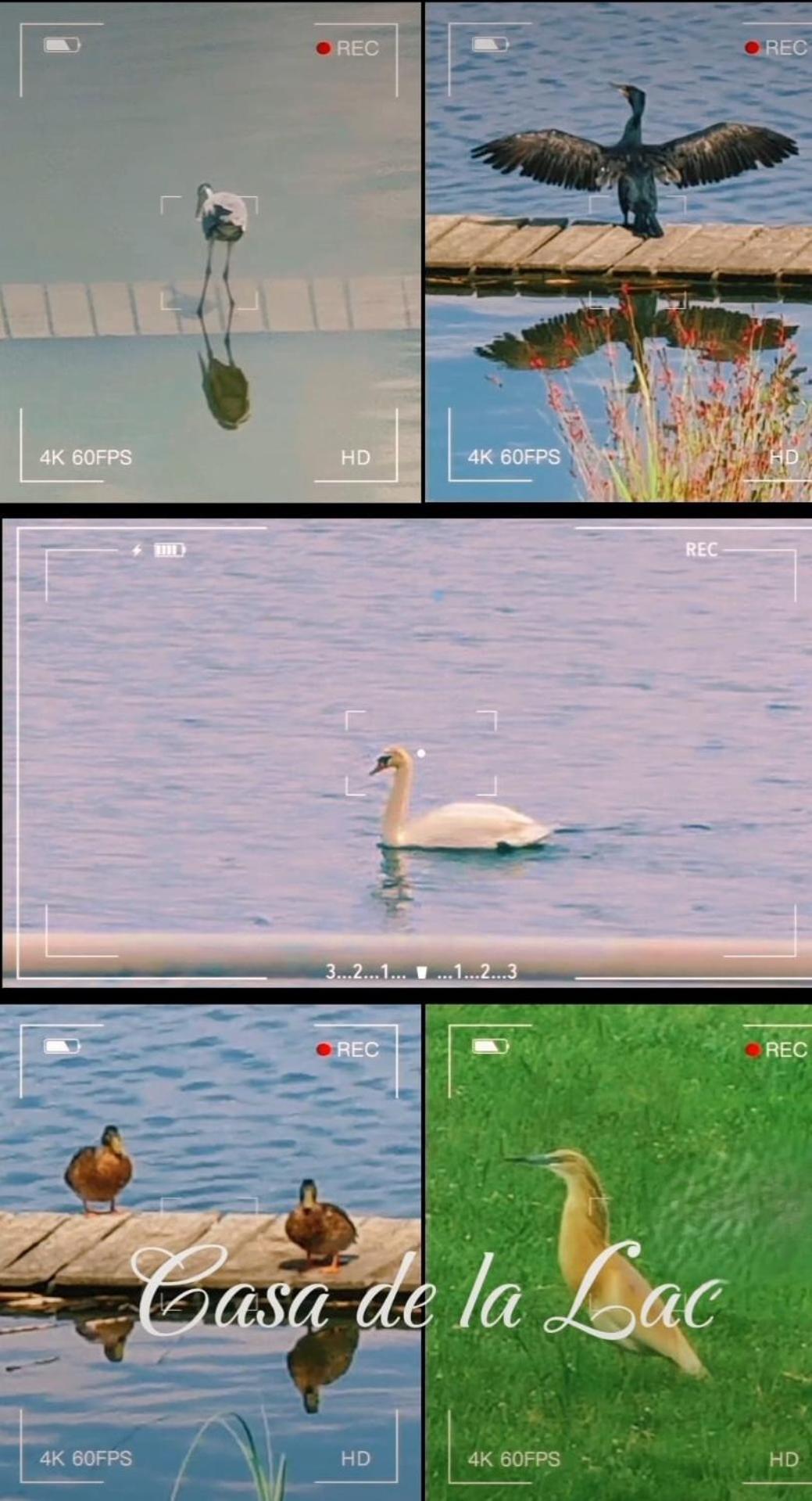 Casa De La Lac バロテシュティ エクステリア 写真